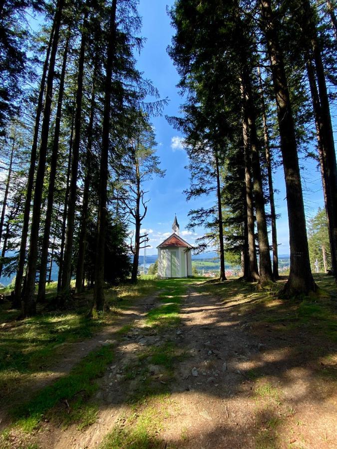 Apartmány Lipno 46 Lipno nad Vltavou Esterno foto